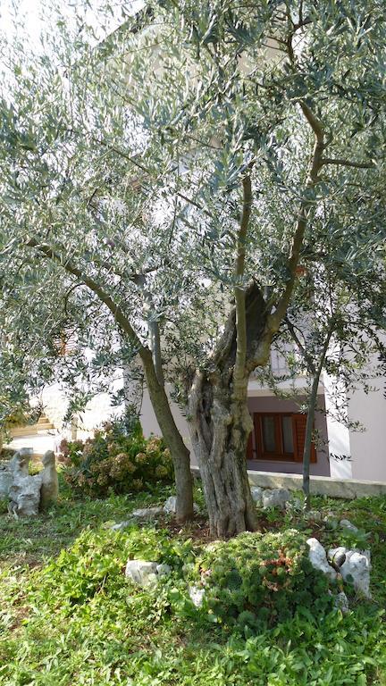 Apartments Libera Poreč Dış mekan fotoğraf